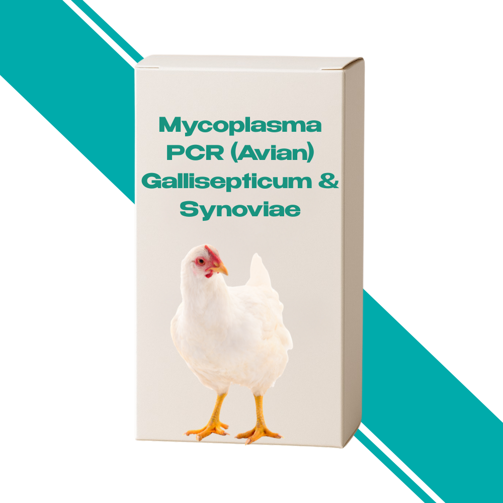 Mycoplasma PCR (Avian) Gallisepticum & Synoviae